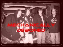 Mechanically Deboned