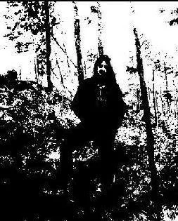 Woodsmarch