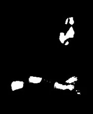 Nokturnal