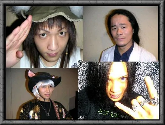 Metal Rabi