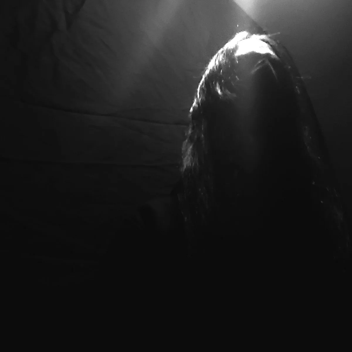 Misanthropæ