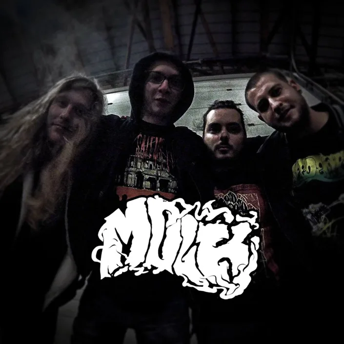 Mølk