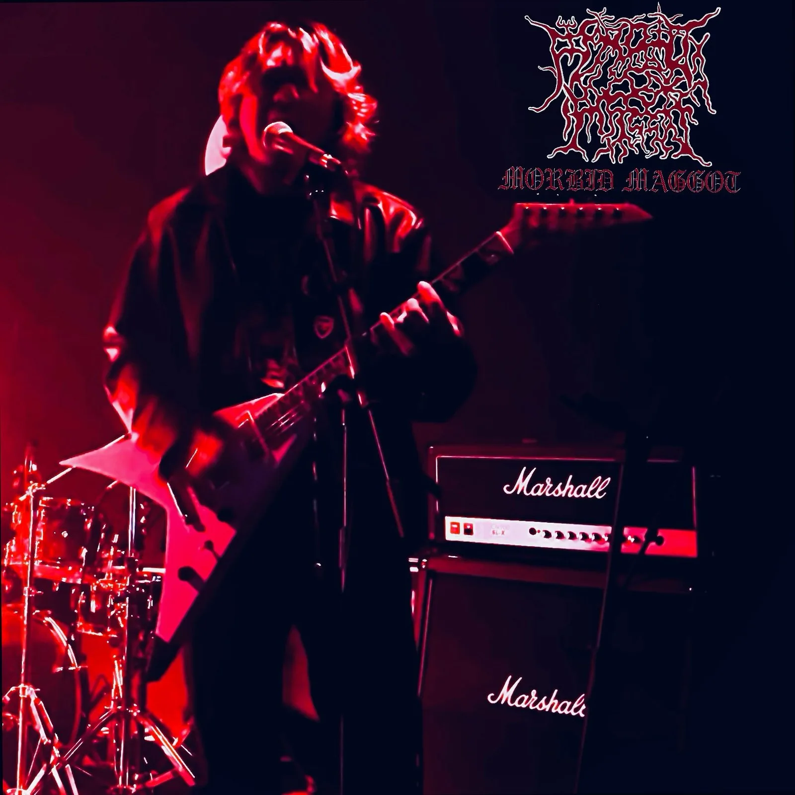 Morbid Maggot