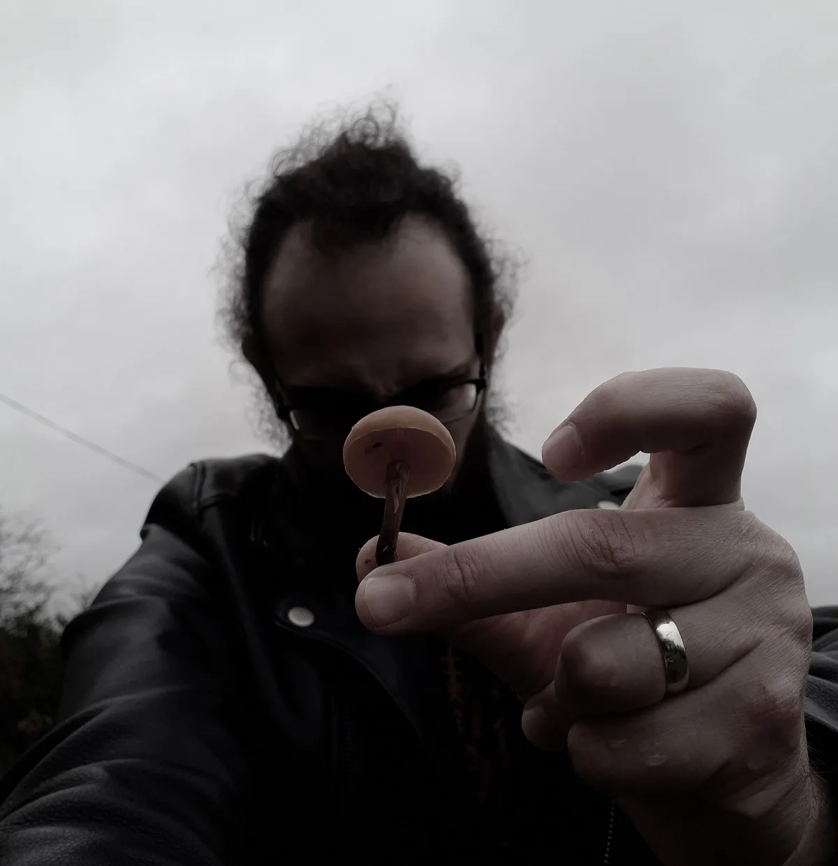 Mycelium
