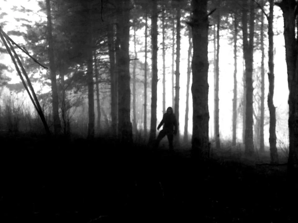 Myrkefelt