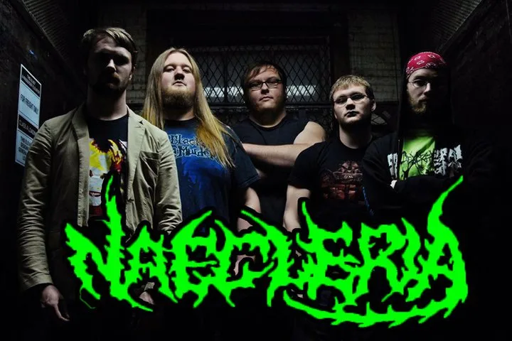 Naegleria
