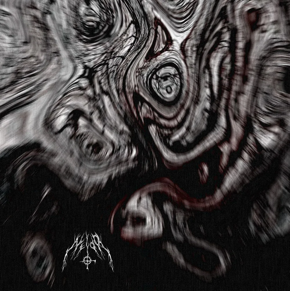 Neidr