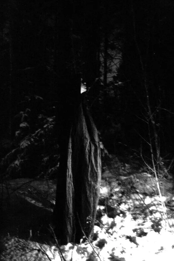 Night on Earth