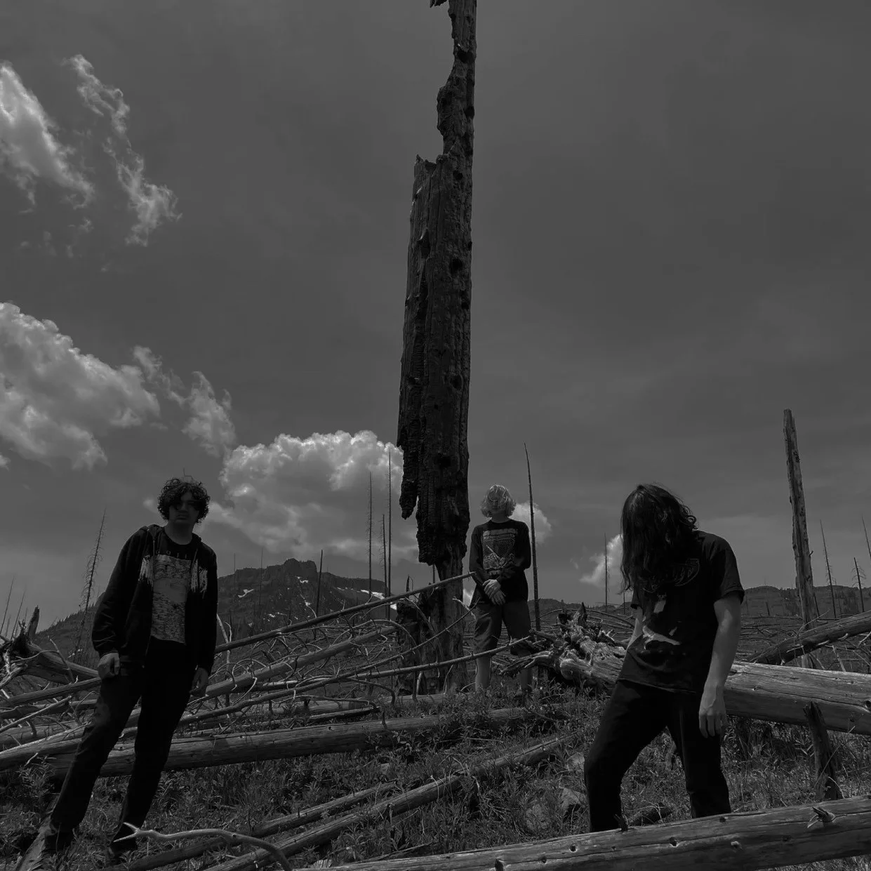 band
