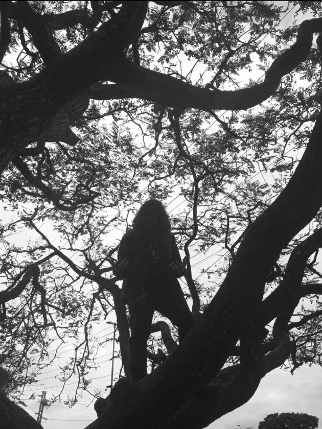 Nocturnal Obscurum