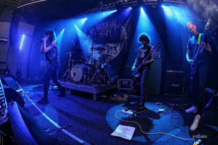 Nocturnal Scum