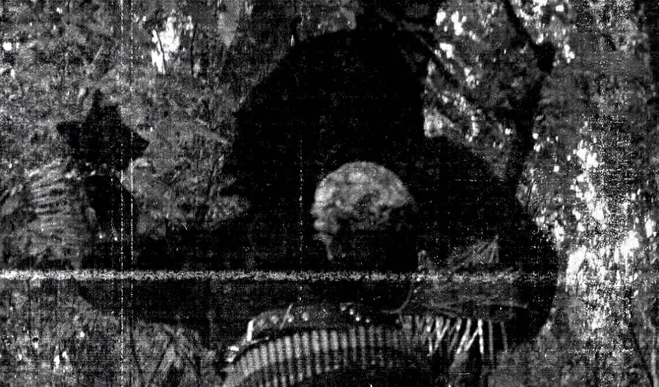 Nocturnal Toxin & Carnage