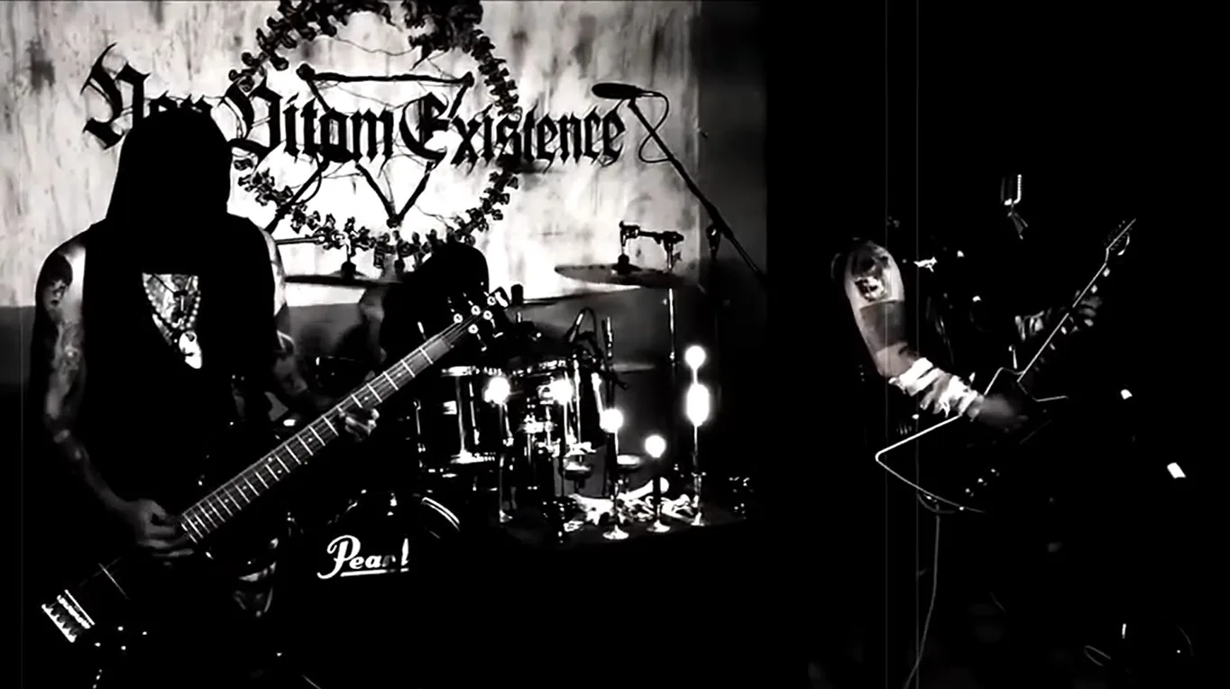 Non Vitam Existence