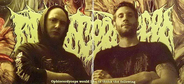 Ophiocordyceps