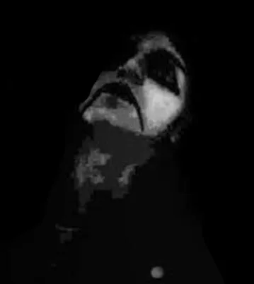 Paganus Diabolous