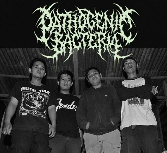 Pathogenic Bacteria