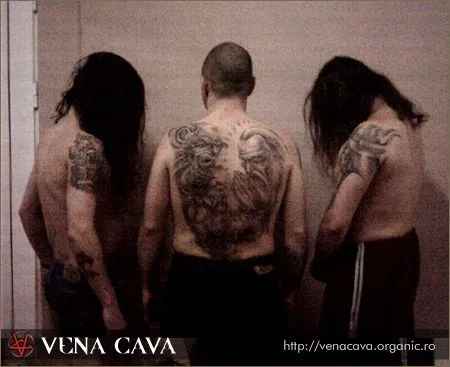 Vena Cava