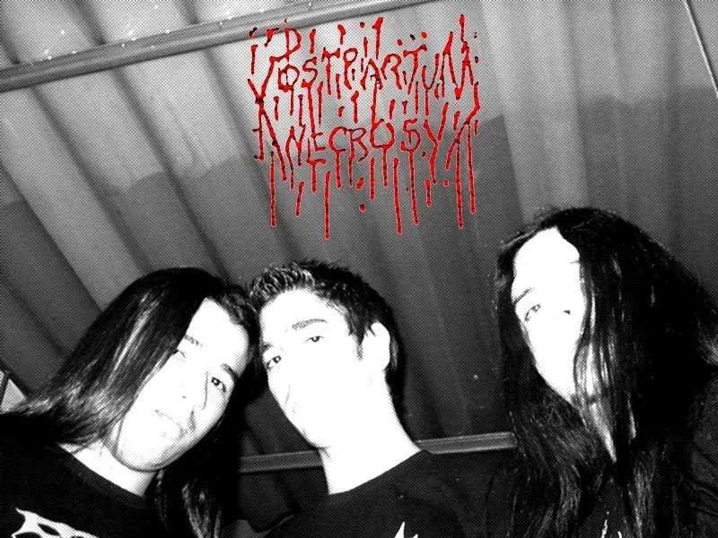 Postpartum Necrosy