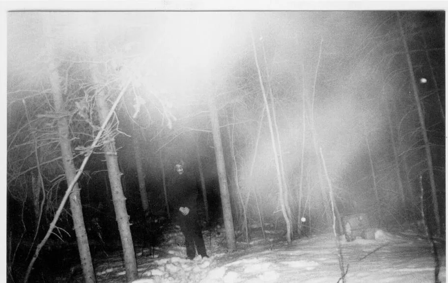 Harrowing Forest
