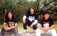 Putrefaccion