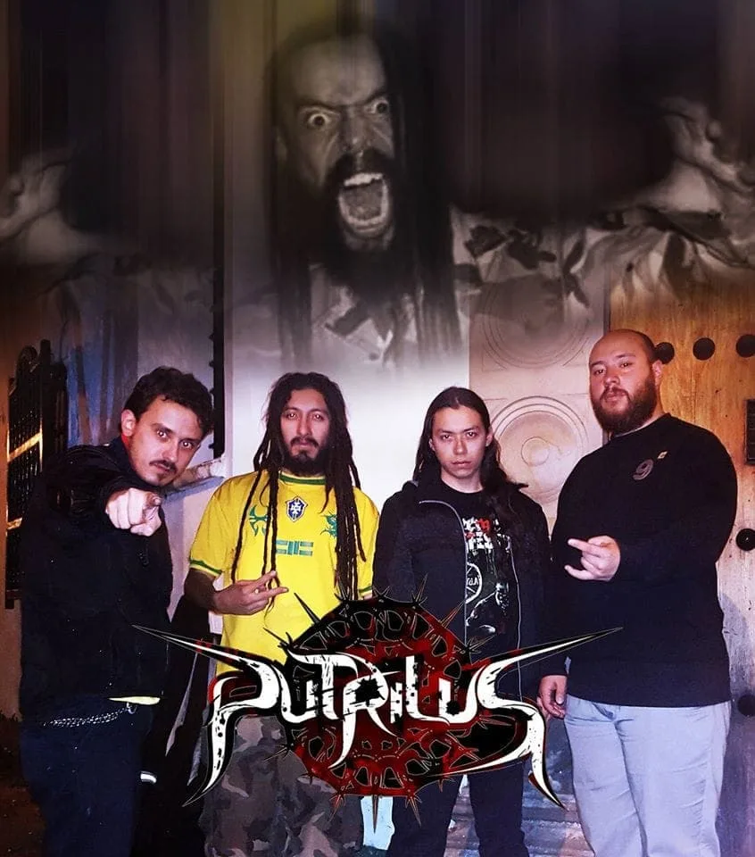 Putrilus
