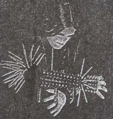Ravengod