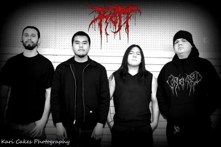 Rott