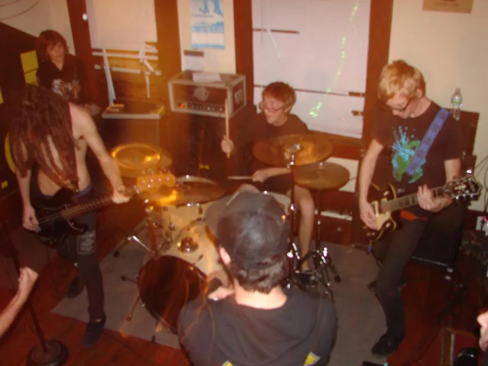 Rotting Palms