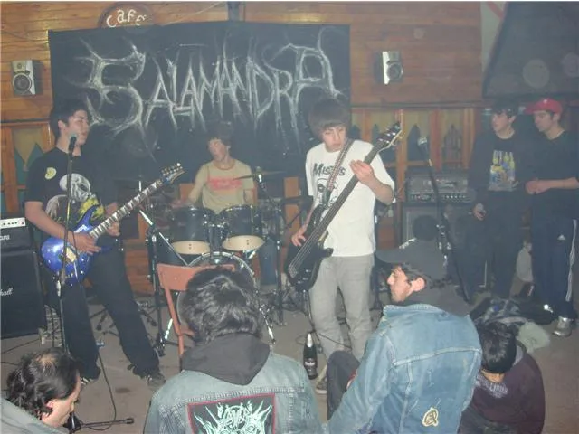 Salamandra