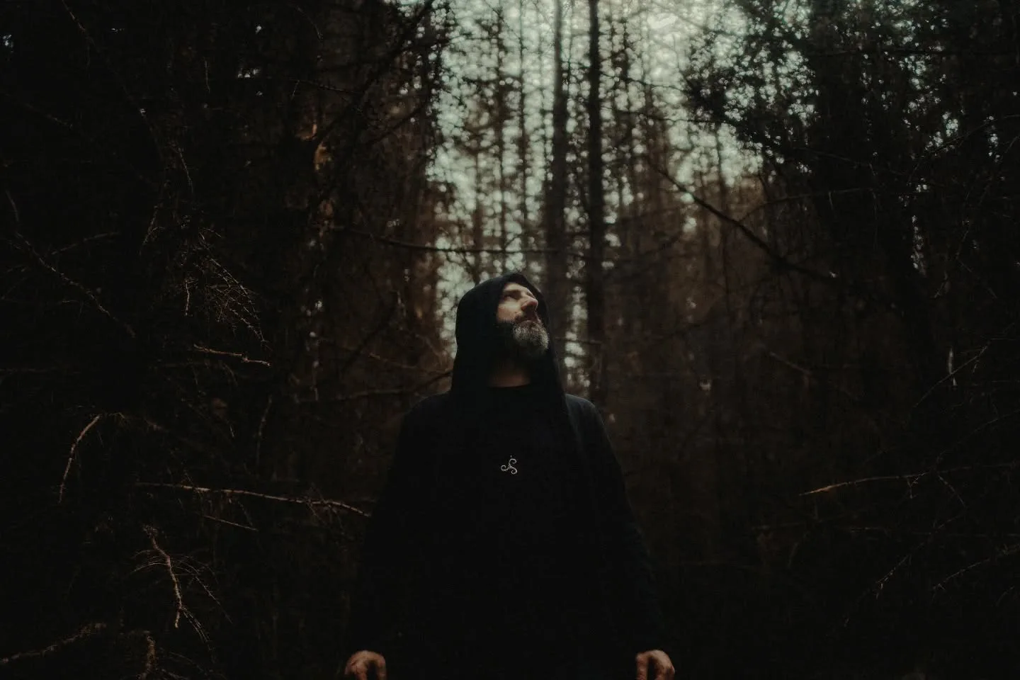 Saor