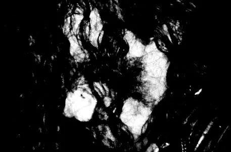 Sautheneron