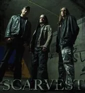 Scarvest