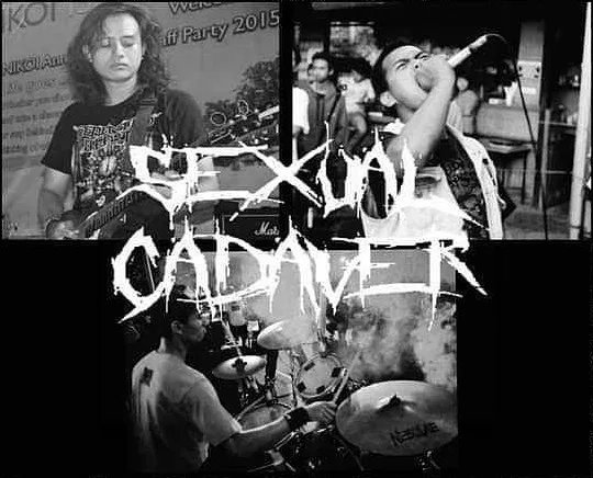 Sexual Cadaver