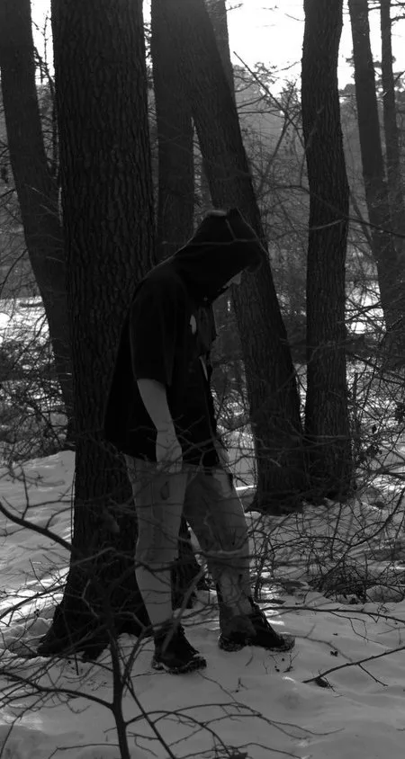 Shadows of the Fallen