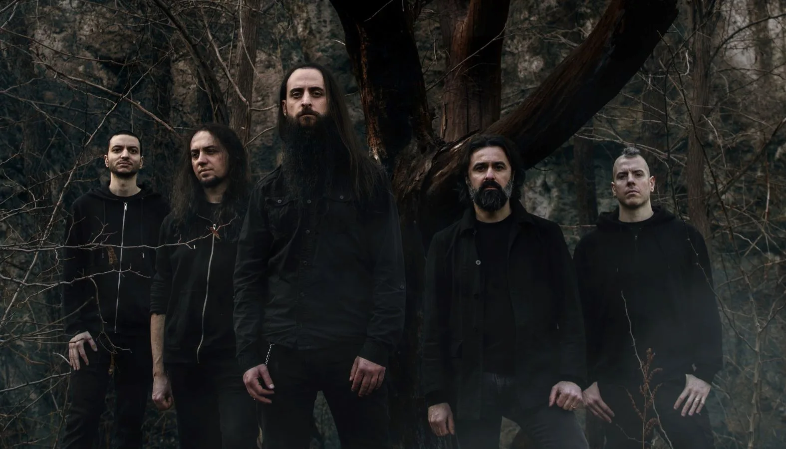 Shores of Null