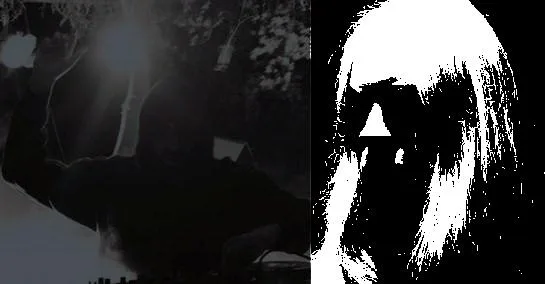 Veinen