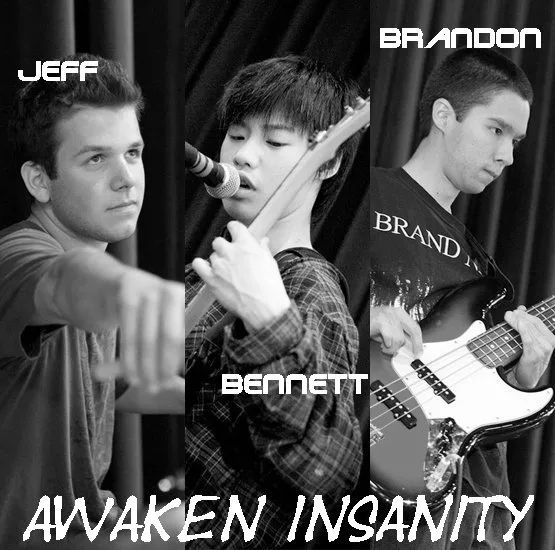 Awaken Insanity