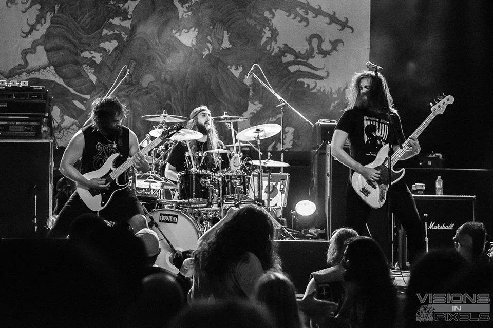 Skull Vultures