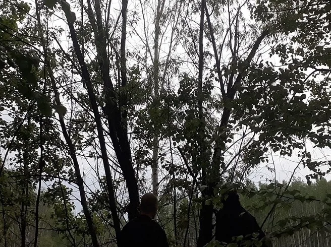 Slavic Front