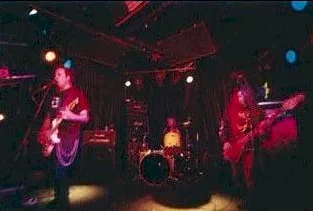 Sludgeplow