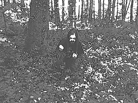 Sønn av Skogen