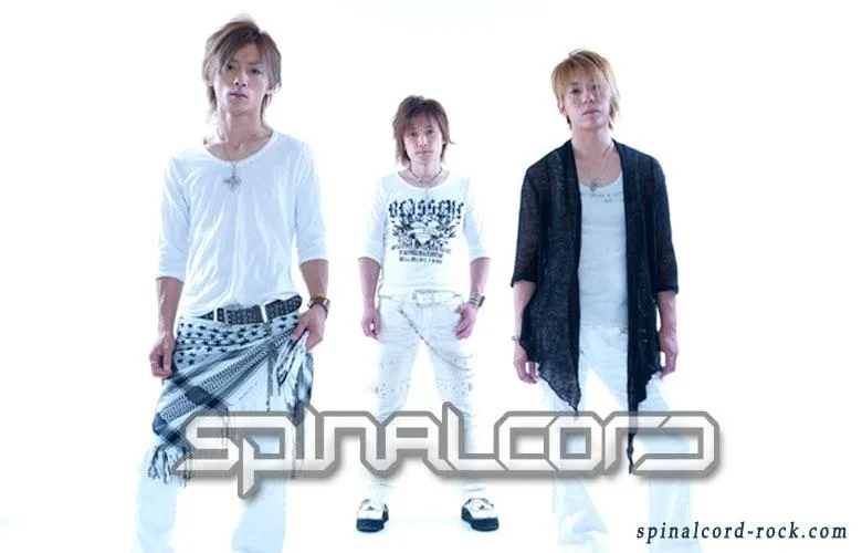 Spinalcord