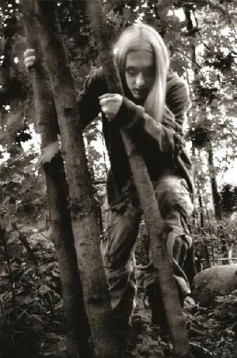 Spirit of the Forest