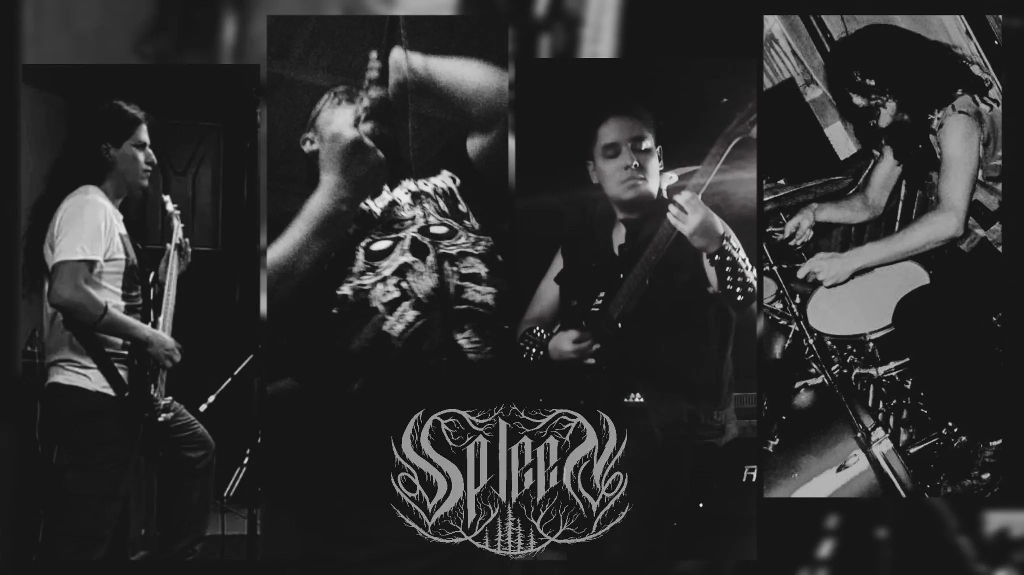 Spleen