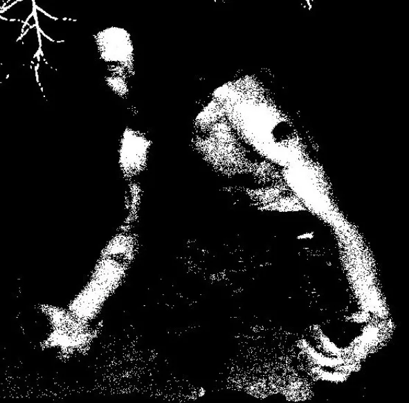 Spurcaciune