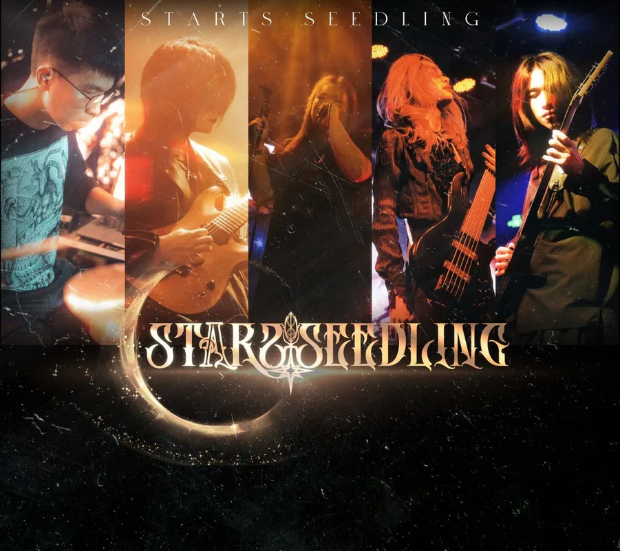 Stars Seedling