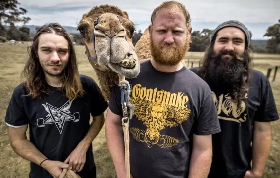 Stonethroat