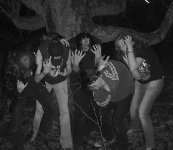 Morsus