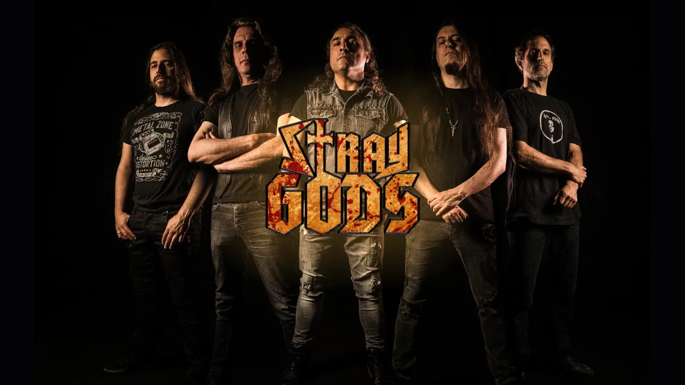 Stray Gods