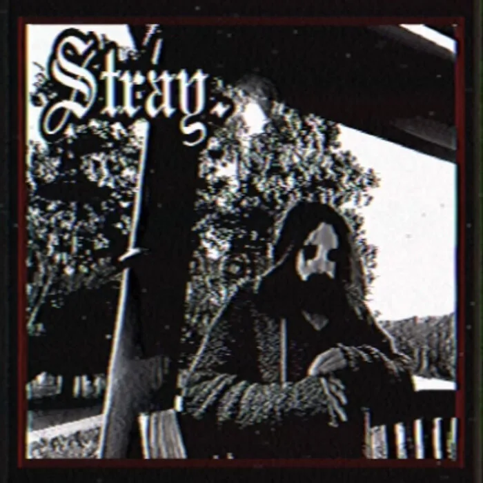 Stray.